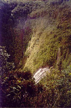 A Waterfall viewed from the billy goat track