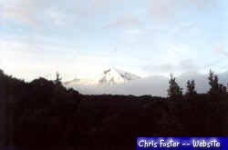 View of Mt. Ruapehu at 6.30am from Waihohonu Hut