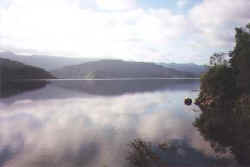 View of Lake Waikaremoana